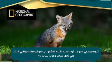 تنويه رسمي اليوم.. تردد جديد لقناة ناشيونال جيوغرافيك أبوظبي 2025 على نايل سات وعرب سات HD